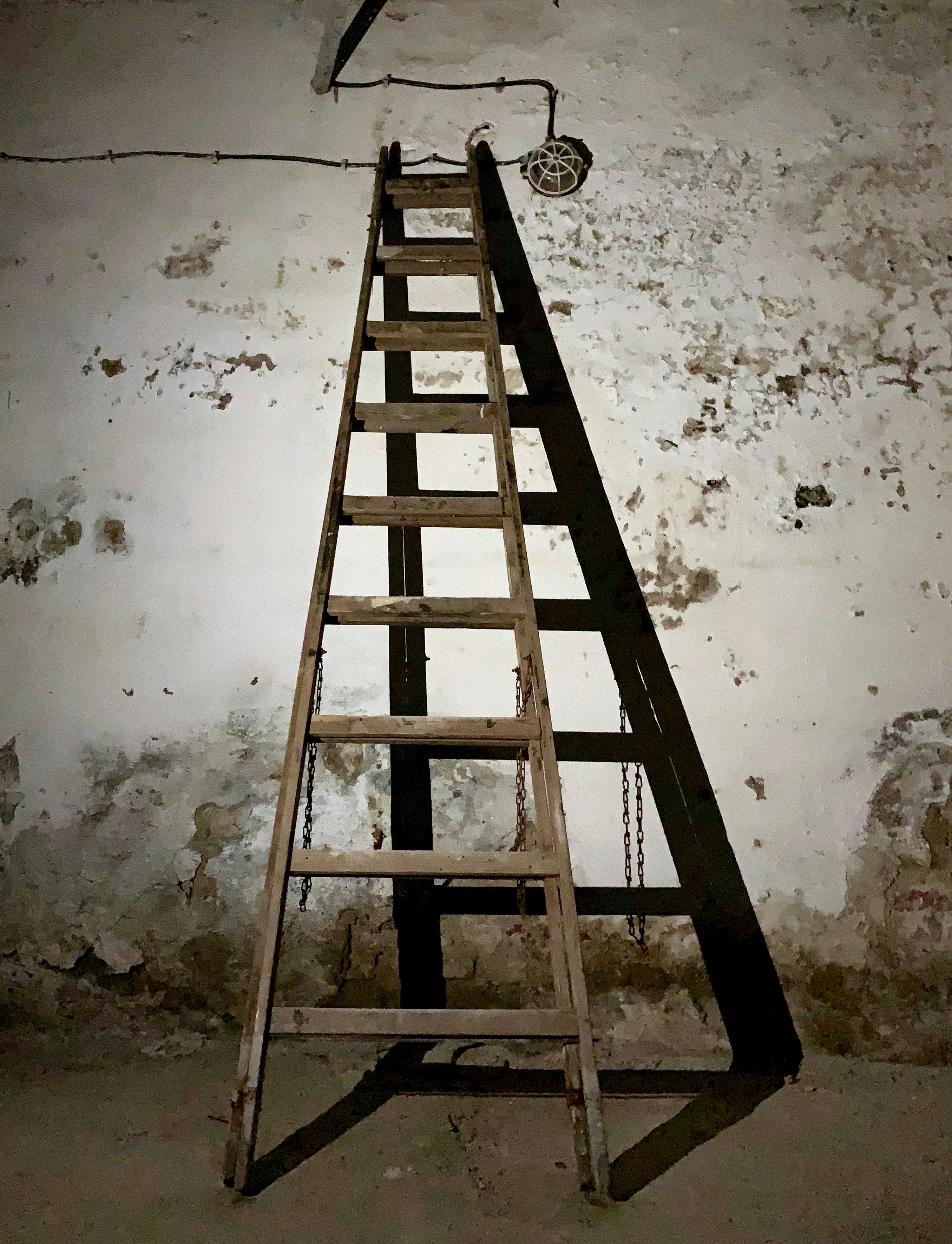 brown wooden ladder
